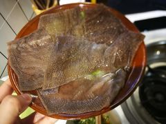 -青年火锅(吾悦广场直营店)
