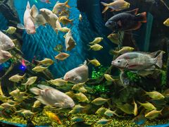 -石林冰雪海洋世界