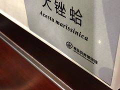 -青岛贝壳博物馆
