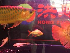 -洪忠涮烤王(嵩山路店)