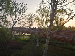 -昆山城市生态森林公园