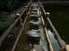 -王顺山国家森林公园