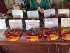 -马陆小张葡萄园农家乐