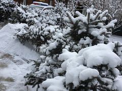 -人民防洪胜利纪念塔