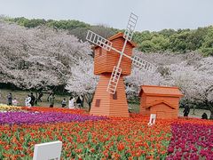 -苏州上方山国家森林公园