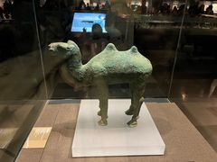 -甘肃地质博物馆