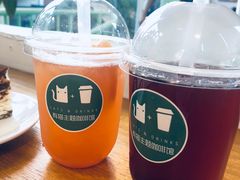 -有猫主题·治愈系猫咖(曾厝垵店)
