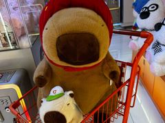 -可爱抓 COCO  GOTCHA(天津鹏欣水游城店)