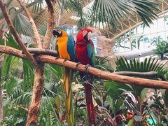 -杭州开元森泊度假乐园