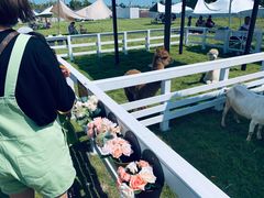 -宁波冰雪大世界(北仑区)