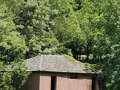 -合肥野生动物园