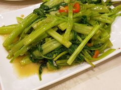 -金城小厨