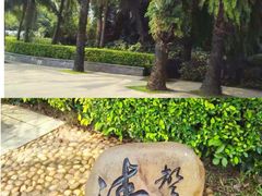 -福田红树林生态公园
