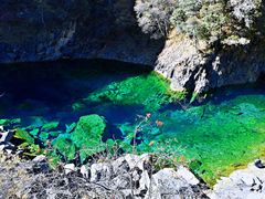 -叠溪松坪沟景区
