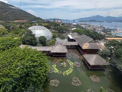 -芽庄珍珠岛游乐园