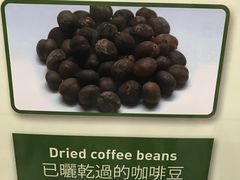 -巴厘岛黄金金兔咖啡工厂