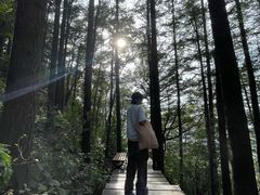 -白草畔自然风景区