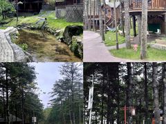-洛阳白云山景区