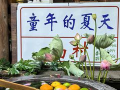 -乌村