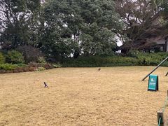 -西湖游船