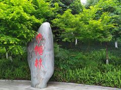 -龙头寺公园