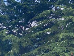 -秦始皇帝陵博物院(兵马俑)