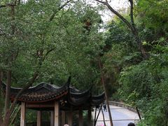 -灵岩山风景区