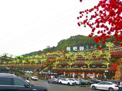 -枇杷园食为鲜火锅(南山店)