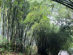 -世间香境·七溪地
