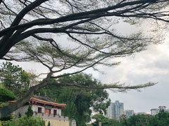 -深圳国际园林花卉博览园