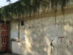 -长洲岛