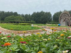 -长春公园(普阳街道)