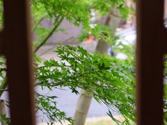 -杭州西湖风景名胜区-三生石