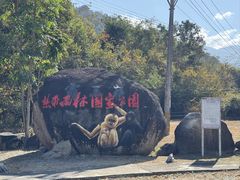 -霸王岭国家森林公园