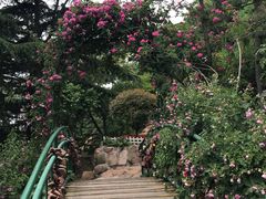 景点-信号山公园