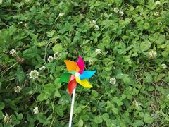 -白鹭湾湿地公园