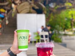 -九里香奶茶果汁(碧湖店)