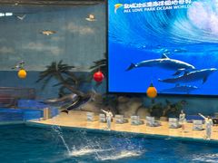 -泉城欧乐堡海洋极地世界