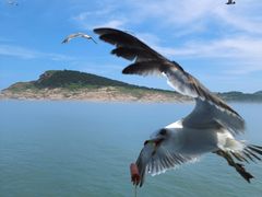 -海驴岛(荣成市)