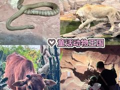 -长鹿旅游休博园