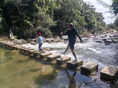 -海南热带雨林国家公园吊罗山景区