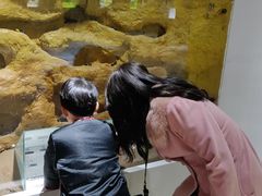 -上海昆虫博物馆