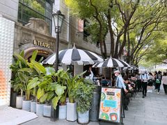 -IL TEATRO 精品意大利餐厅