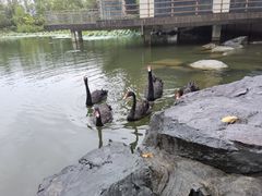 -上海怡沁园度假酒店