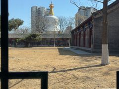 -护国法轮寺
