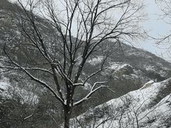 -古崖居风景名胜区