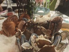 -阳光岛·海鲜盛宴(银泰中心in99店)