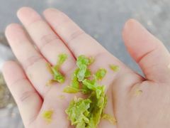 -嗨菓新鲜茶饮(北京大学店)