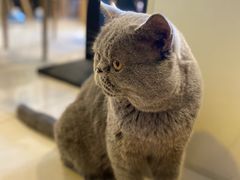 -平行世界·猫咖(首经贸店)