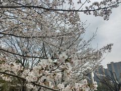 -堤角公园